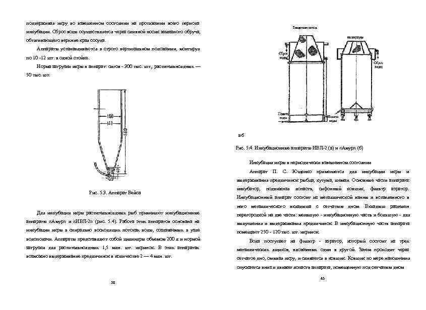 поддерживая икру во взвешенном состоянии на протяжении всего периода     Защитная