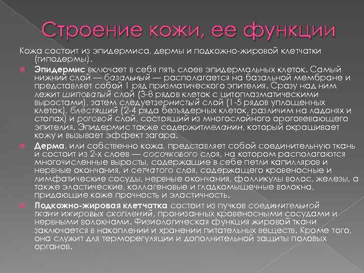 Строение кожи, ее функции Кожа состоит из эпидермиса, дермы и подкожно-жировой клетчатки Строение кожи, ее функции Кожа состоит из эпидермиса, дермы и подкожно-жировой клетчатки