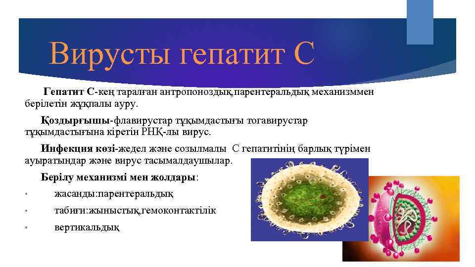  Вирусты гепатит С Гепатит С-кең таралған антропоноздық, парентеральдық механизммен берілетін жұқпалы ауру. Қоздырғышы-флавирустар