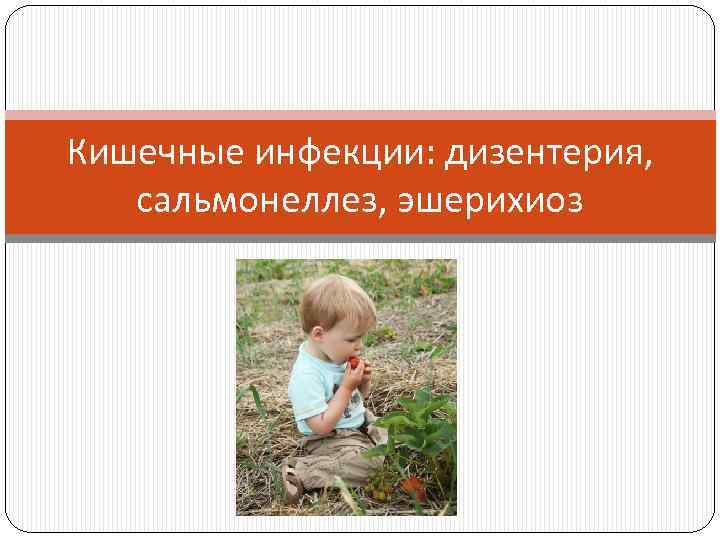 Кишечные инфекции: дизентерия, сальмонеллез, эшерихиоз 