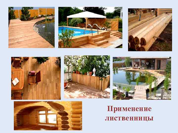 Применение лиственницы 