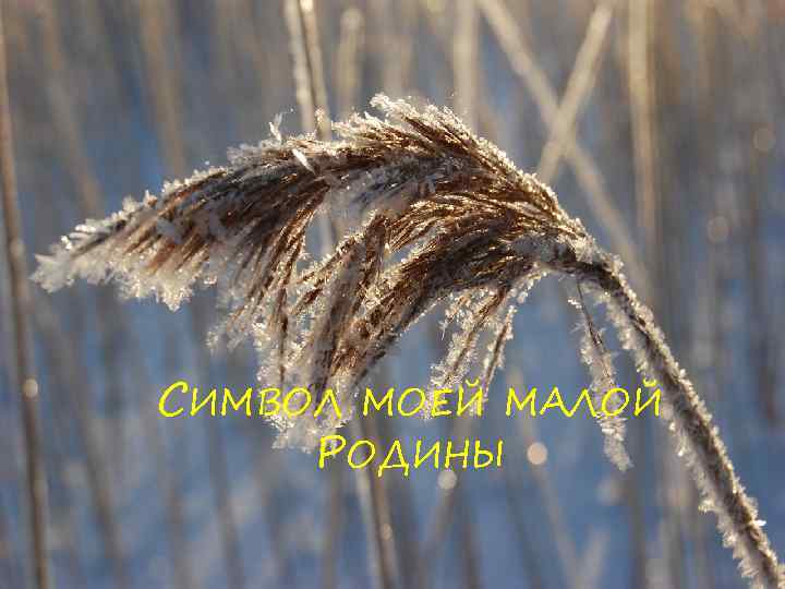 СИМВОЛ МОЕЙ МАЛОЙ РОДИНЫ 
