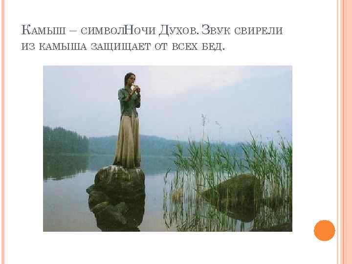 КАМЫШ – СИМВОЛНОЧИ ДУХОВ. ЗВУК СВИРЕЛИ ИЗ КАМЫША ЗАЩИЩАЕТ ОТ ВСЕХ БЕД.  