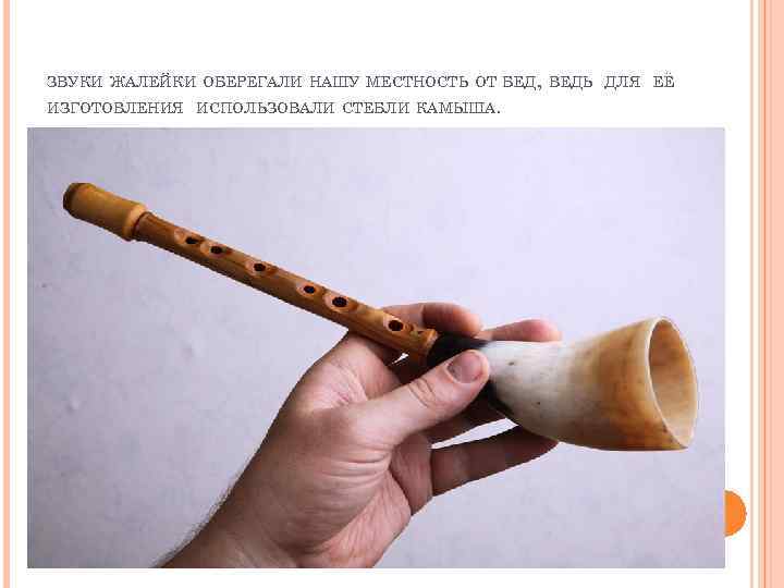ЗВУКИ ЖАЛЕЙКИ ОБЕРЕГАЛИ НАШУ МЕСТНОСТЬ ОТ БЕД, ВЕДЬ ДЛЯ ЕЁ ИЗГОТОВЛЕНИЯ ИСПОЛЬЗОВАЛИ СТЕБЛИ КАМЫША.