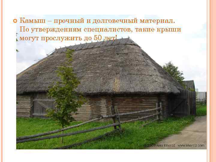   Камыш – прочный и долговечный материал. По утверждениям специалистов, такие крыши могут