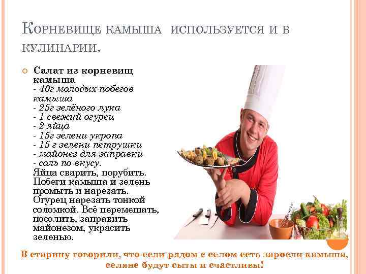 КОРНЕВИЩЕ КАМЫША    ИСПОЛЬЗУЕТСЯ И В КУЛИНАРИИ.  Салат из корневищ камыша