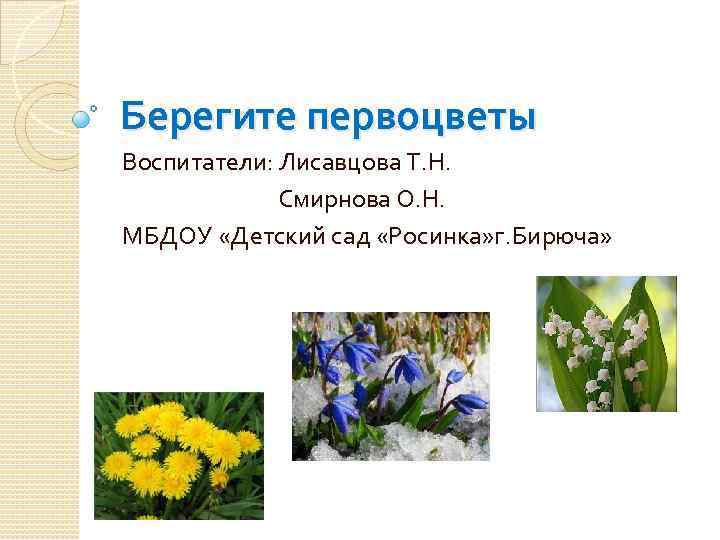 Берегите первоцветы Воспитатели: Лисавцова Т. Н.    Смирнова О. Н. МБДОУ «Детский