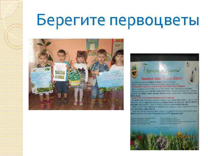 Берегите первоцветы 