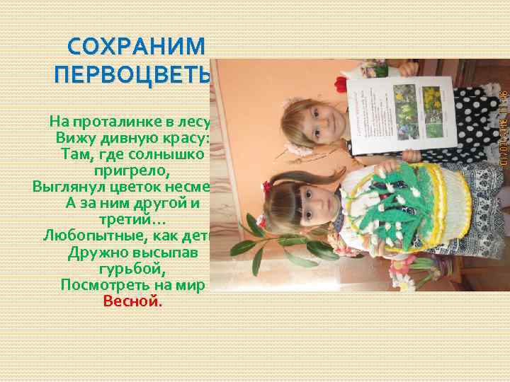   СОХРАНИМ  ПЕРВОЦВЕТЫ  На проталинке в лесу, Вижу дивную красу: Там,