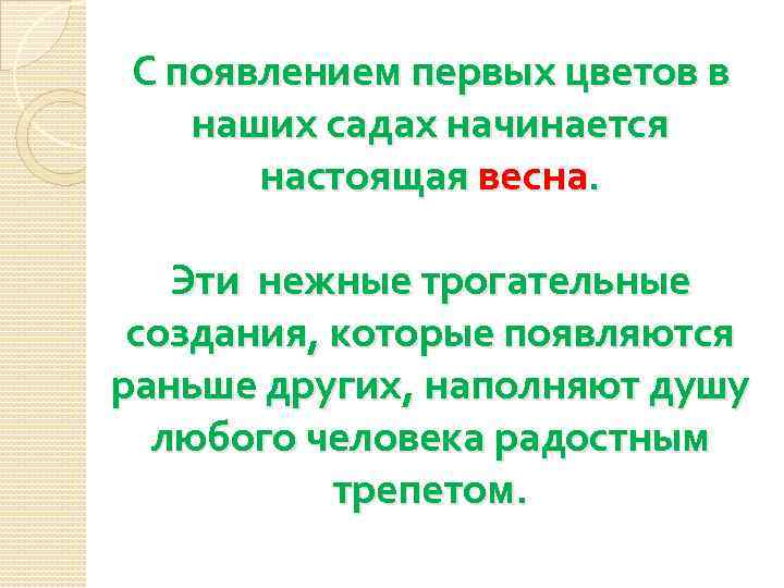 С появлением первых цветов в наших садах начинается  настоящая весна.  Эти нежные