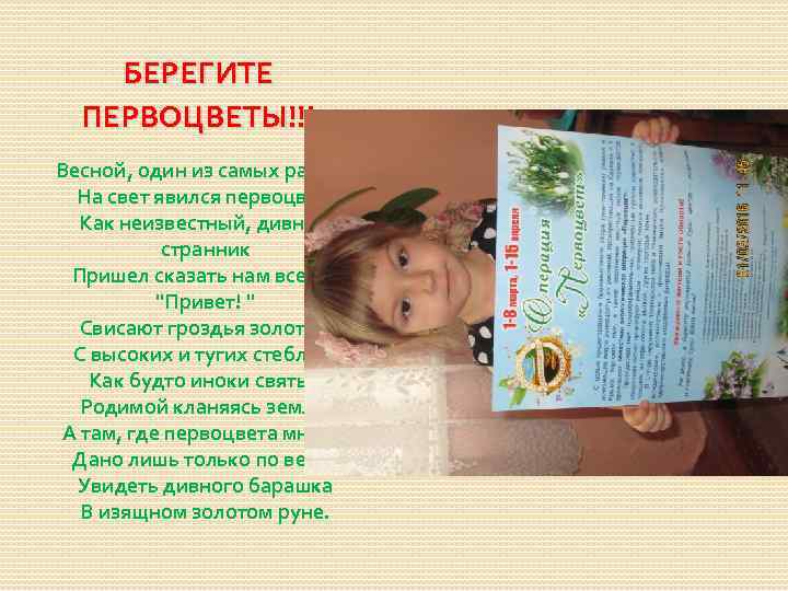   БЕРЕГИТЕ  ПЕРВОЦВЕТЫ!!! Весной, один из самых ранних  На свет явился