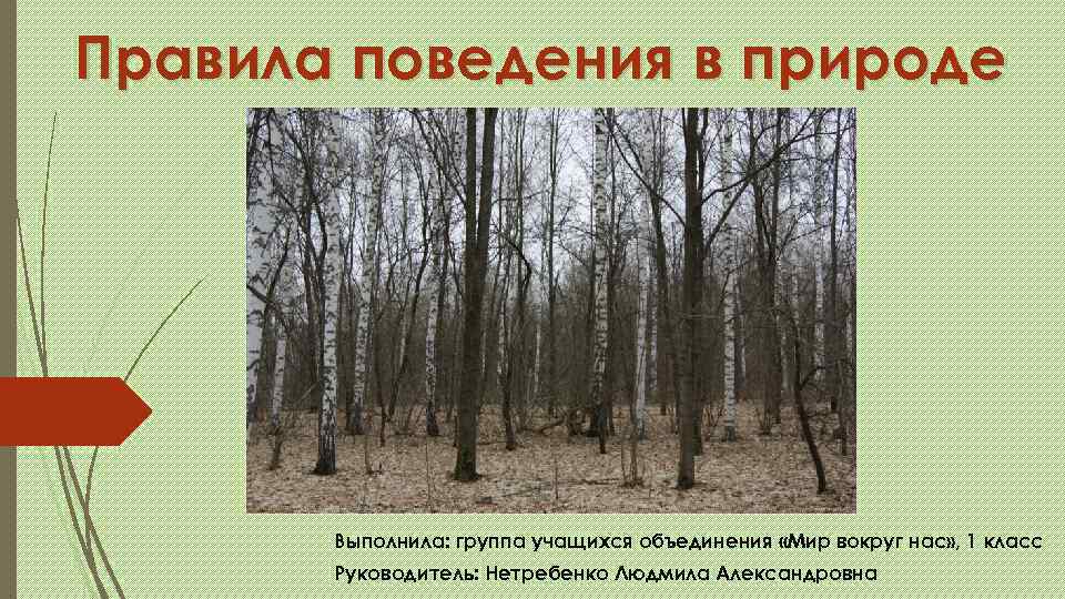 Правила поведения в природе  Выполнила: группа учащихся объединения «Мир вокруг нас» , 1