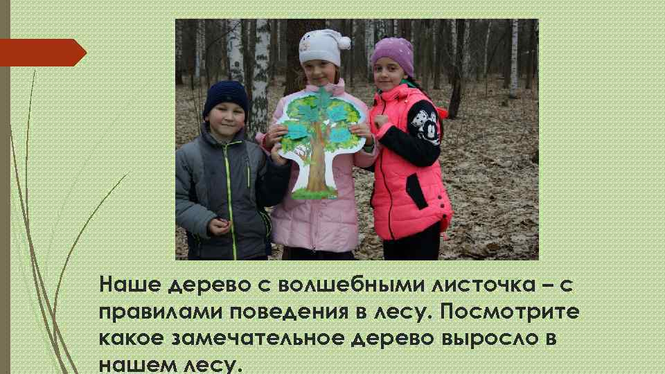Наше дерево с волшебными листочка – с правилами поведения в лесу. Посмотрите какое замечательное