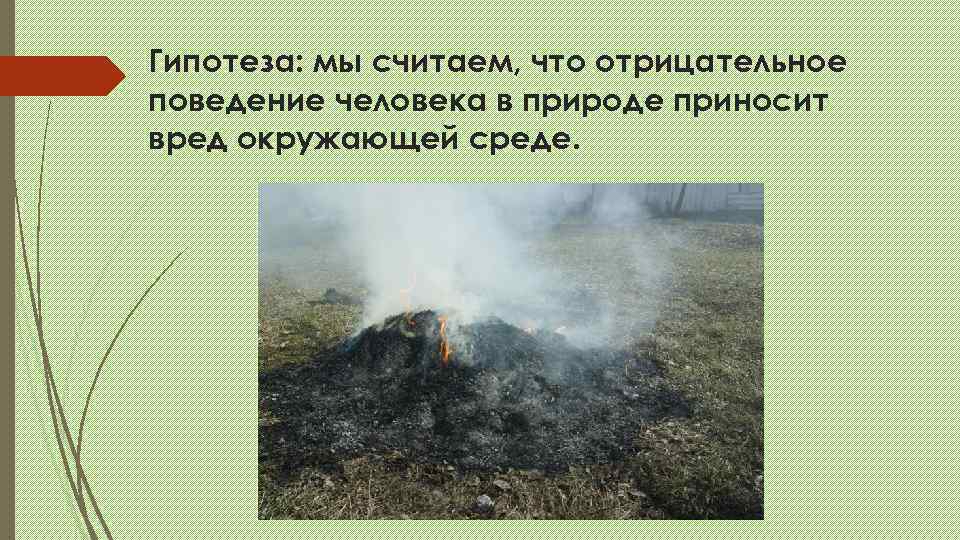 Гипотеза: мы считаем, что отрицательное поведение человека в природе приносит вред окружающей среде. 
