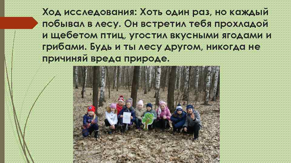 Ход исследования: Хоть один раз, но каждый побывал в лесу. Он встретил тебя прохладой
