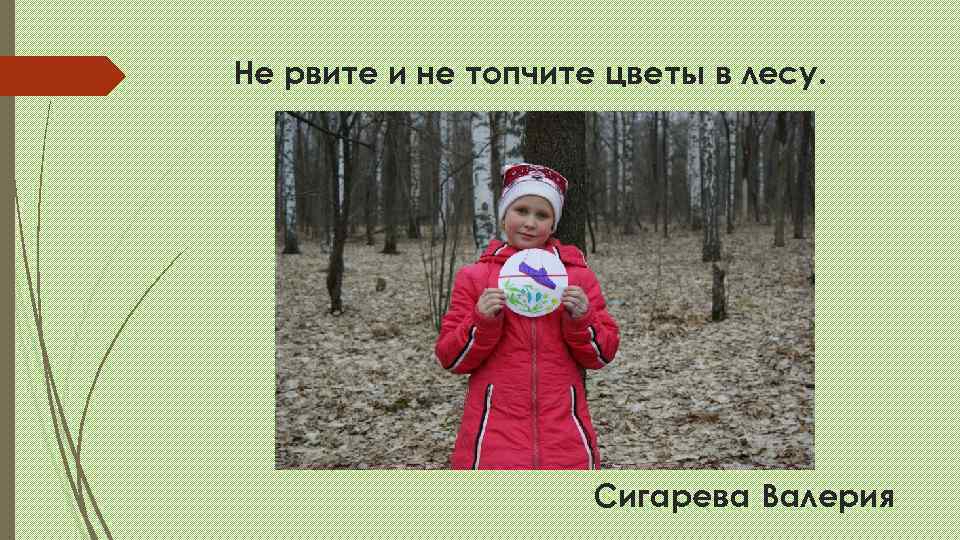 Не рвите и не топчите цветы в лесу.      Сигарева