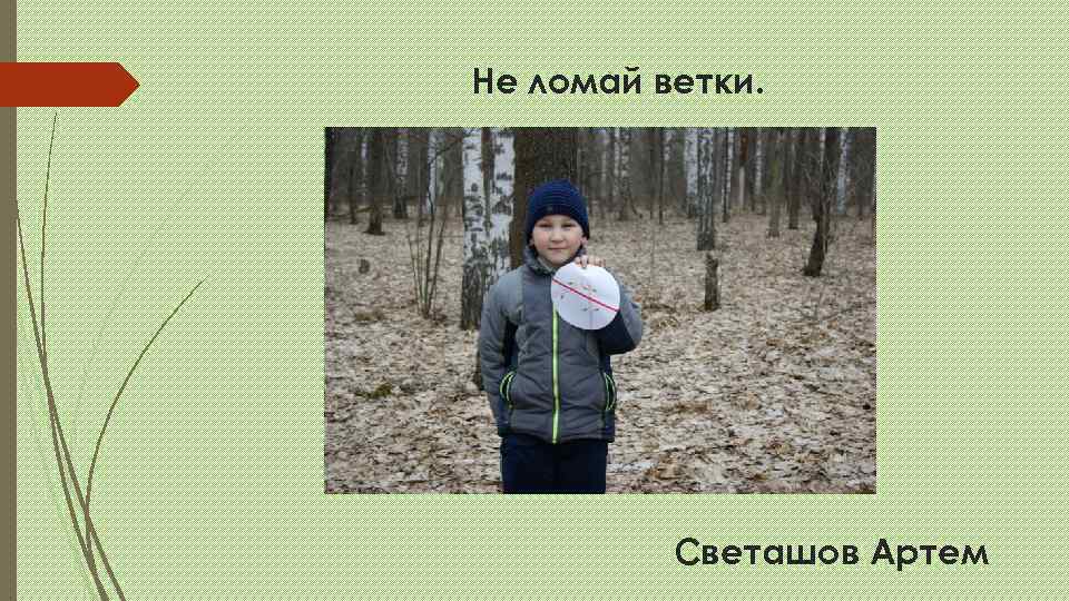 Не ломай ветки.    Светашов Артем 