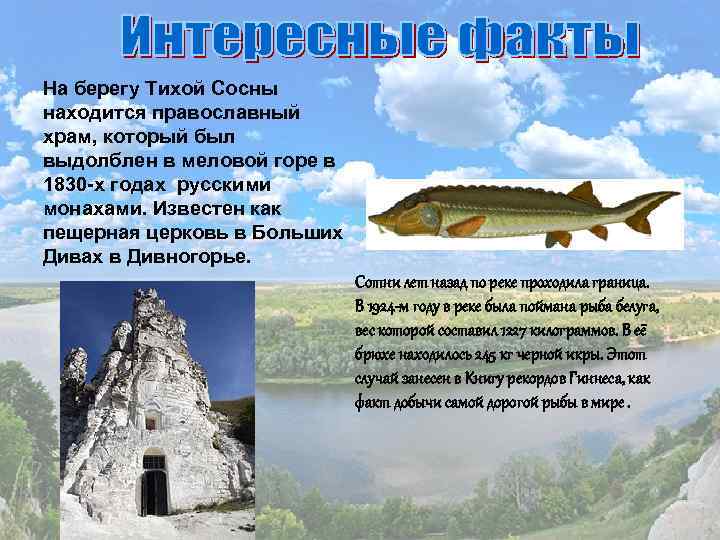 На берегу Тихой Сосны находится православный храм, который был выдолблен в меловой горе в