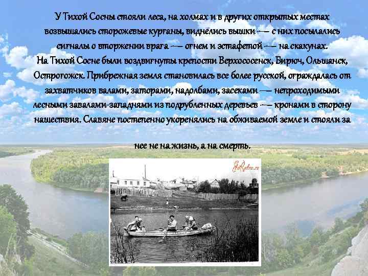  У Тихой Сосны стояли леса, на холмах и в других открытых местах возвышались