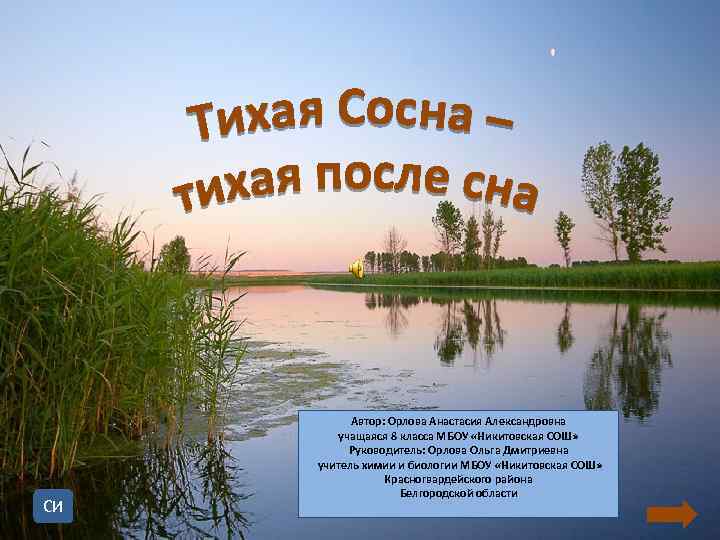 Автор: Орлова Анастасия Александровна учащаяся 8 класса МБОУ «Никитовская СОШ» Автор: Орлова Анастасия Александровна учащаяся 8 класса МБОУ «Никитовская СОШ»