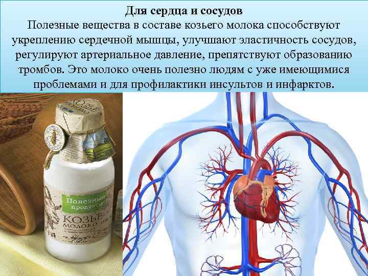     Для сердца и сосудов  Полезные вещества в составе козьего