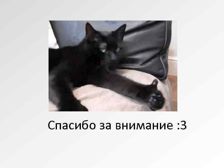 Спасибо за внимание : 3 