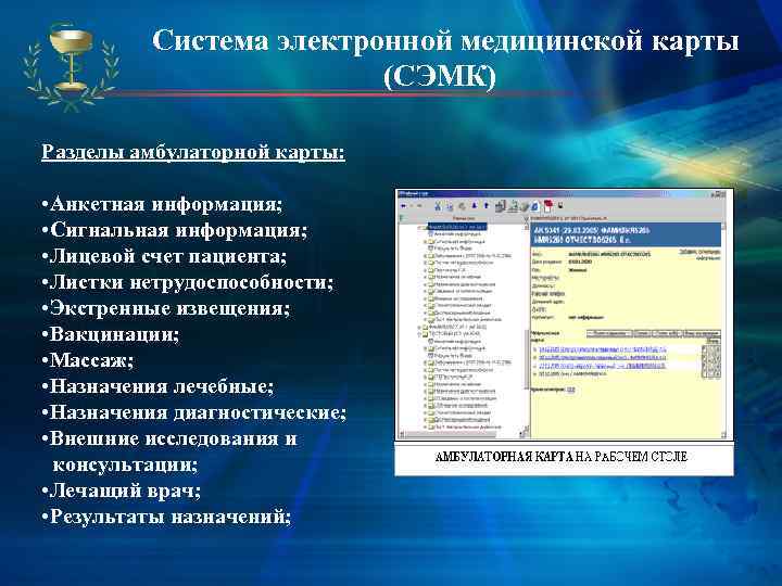   Система электронной медицинской карты       (СЭМК) 