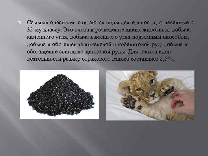   Самыми опасными считаются виды деятельности, отнесенные к 32 -му классу. Это охота