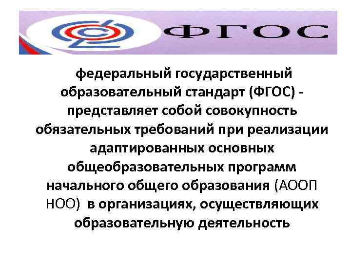   Основные термины используемые в тексте  федеральный государственный  образовательный стандарт (ФГОС)