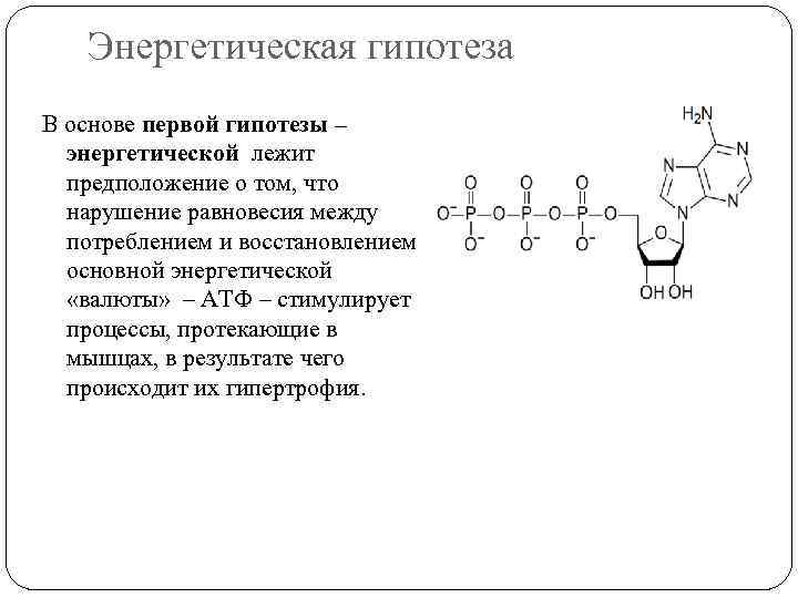 Энергетическая гипотеза В основе первой гипотезы – энергетической лежит предположение Энергетическая гипотеза В основе первой гипотезы – энергетической лежит предположение