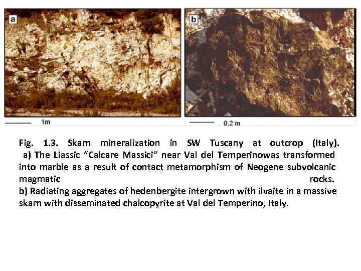 Fig. 1. 3. Skarn mineralization in SW Tuscany at outcrop (Italy).  a) The