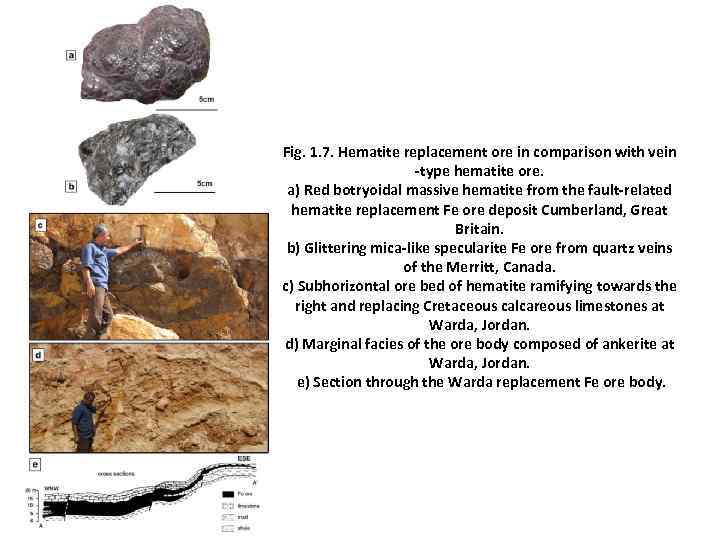 Fig. 1. 7. Hematite replacement ore in comparison with vein    -type