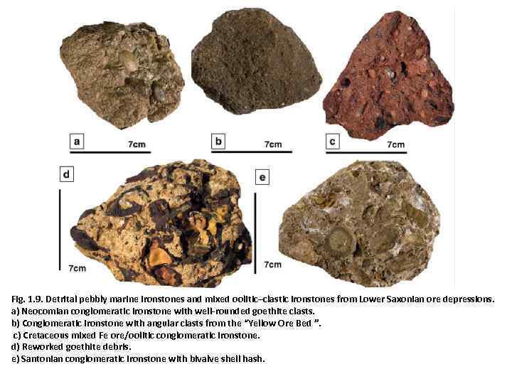 Fig. 1. 9. Detrital pebbly marine ironstones and mixed oolitic–clastic ironstones from Lower Saxonian