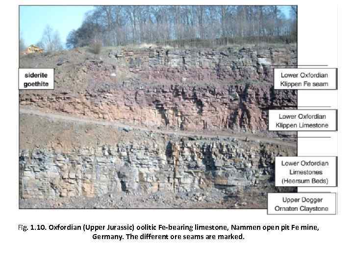 Fig. 1. 10. Oxfordian (Upper Jurassic) oolitic Fe-bearing limestone, Nammen open pit Fe mine,