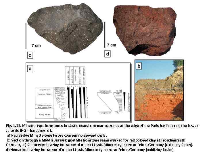 Fig. 1. 11. Minette-type ironstones in clastic nearshore marine zones at the edge of