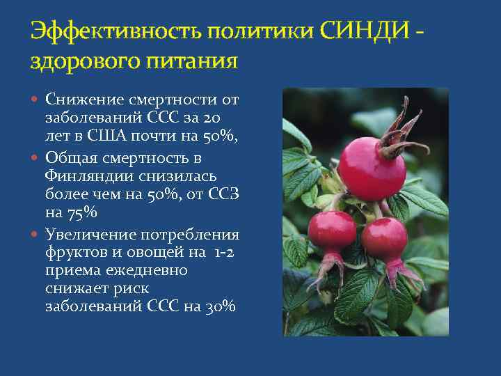 Эффективность политики СИНДИ - здорового питания  Снижение смертности от  заболеваний ССС за