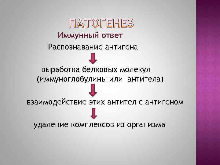   Иммунный ответ Распознавание антигена выработка белковых молекул  (иммуноглобулины или антитела) взаимодействие