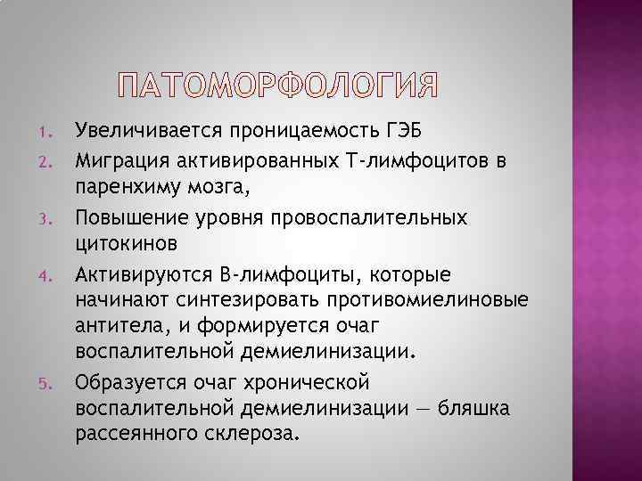 1.  Увеличивается проницаемость ГЭБ 2.  Миграция активированных Т-лимфоцитов в паренхиму мозга, 3.