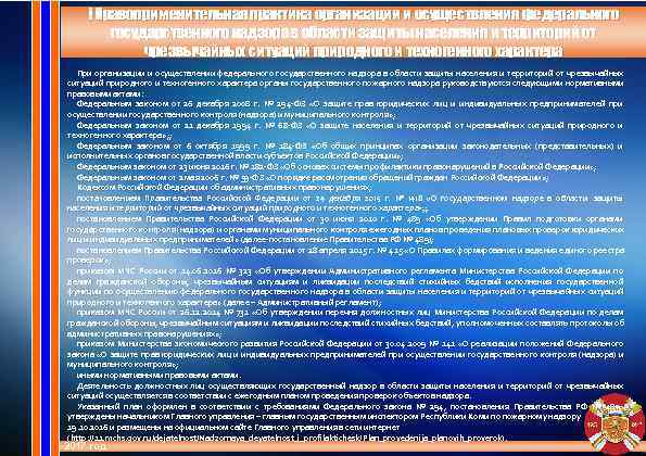   I Правоприменительная практика организации и осуществления федерального   государственного надзора в