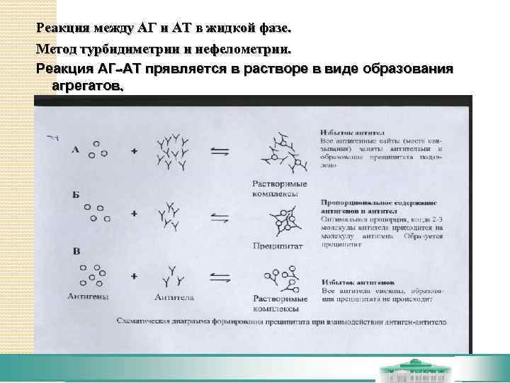 Реакция между АГ и АТ в жидкой фазе. Метод турбидиметрии и нефелометрии. Реакция АГ-АТ