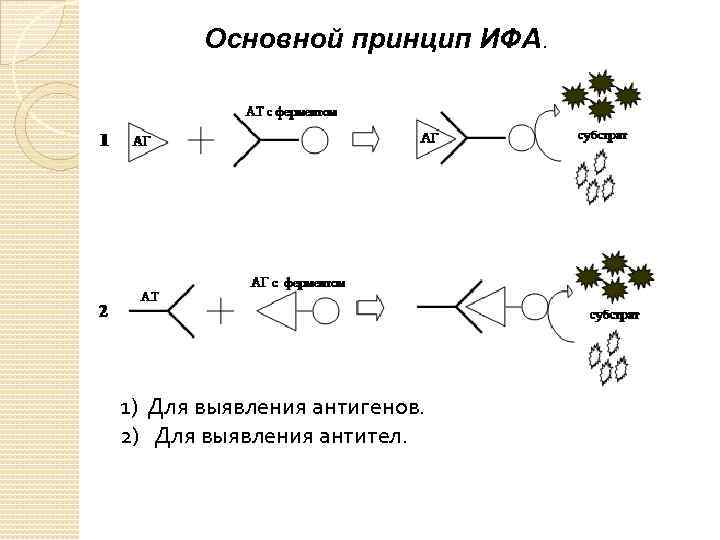   Основной принцип ИФА. 1) Для выявления антигенов.  2)  Для выявления