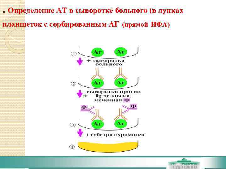 . Определение АТ в сыворотке больного (в лунках планшеток с сорбированным АГ (прямой ИФА)