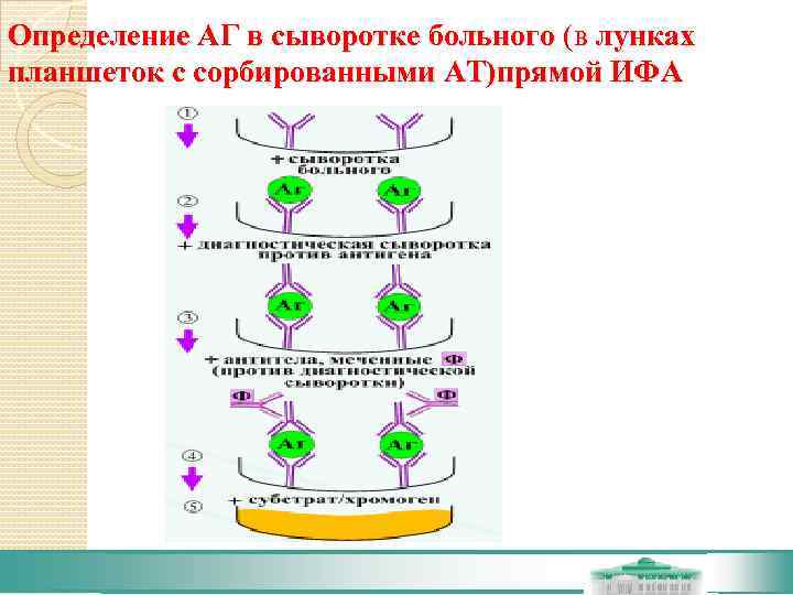 Презентация ифа метод