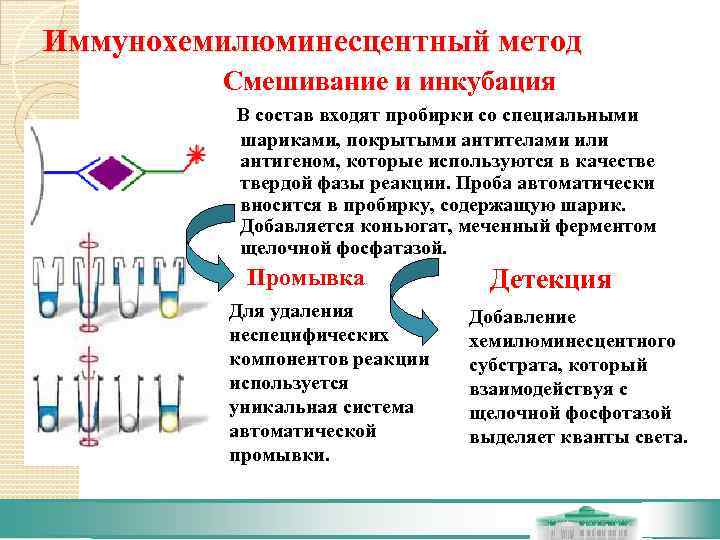 Иммунохемилюминесцентный метод   Смешивание и инкубация   В состав входят пробирки со