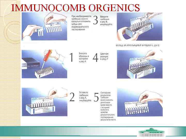 IMMUNOCOMB ORGENICS 
