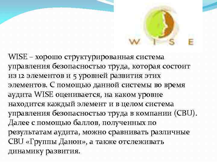 WISE – хорошо структурированная система управления безопасностью труда, которая состоит из 12 элементов и
