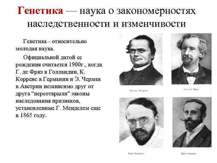 Генетика — наука о закономерностях  наследственности и изменчивости Генетика - относительно молодая наука.