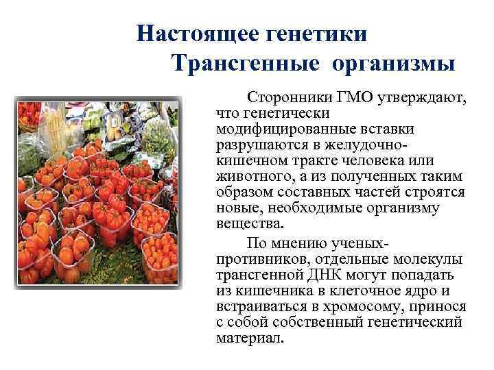    Настоящее генетики     Трансгенные организмы   