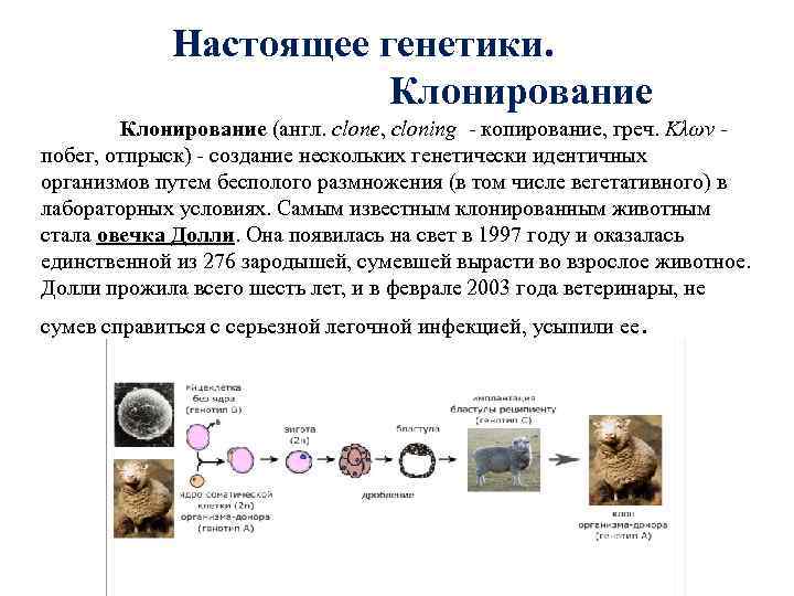   Настоящее генетики.     Клонирование (англ. clone, cloning -