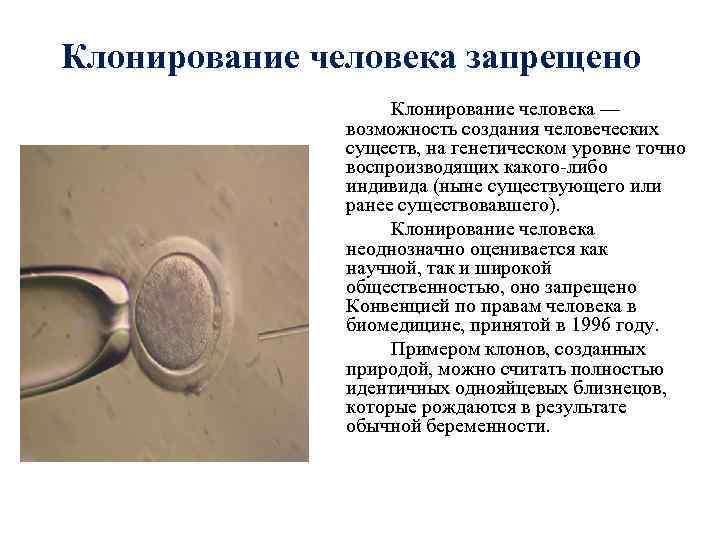 Клонирование человека запрещено     Клонирование человека —   возможность создания